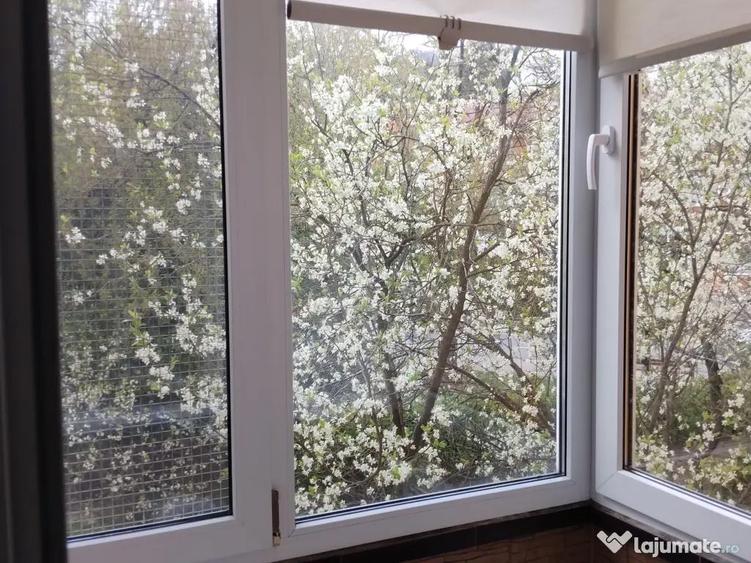 Vand apartament 2 camere etaj 1 deschidere la strada V.Babes - 1