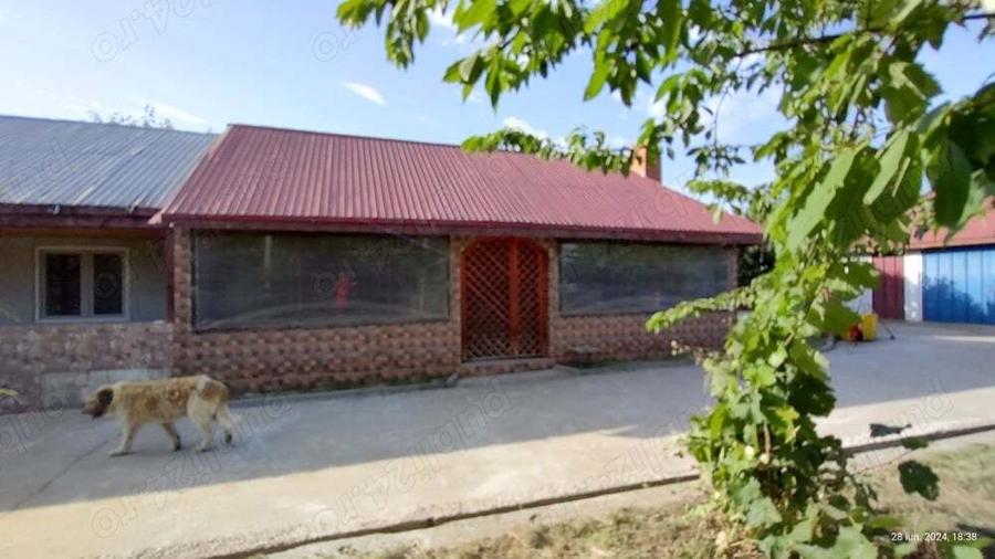 Livada 600pomi de 12 ani,cu casa 2camere,baie ,bucatarie,10000mp - 6