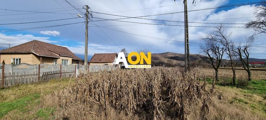 De vanzare 1929mp teren intravilan cu utilitati, Sard - 2