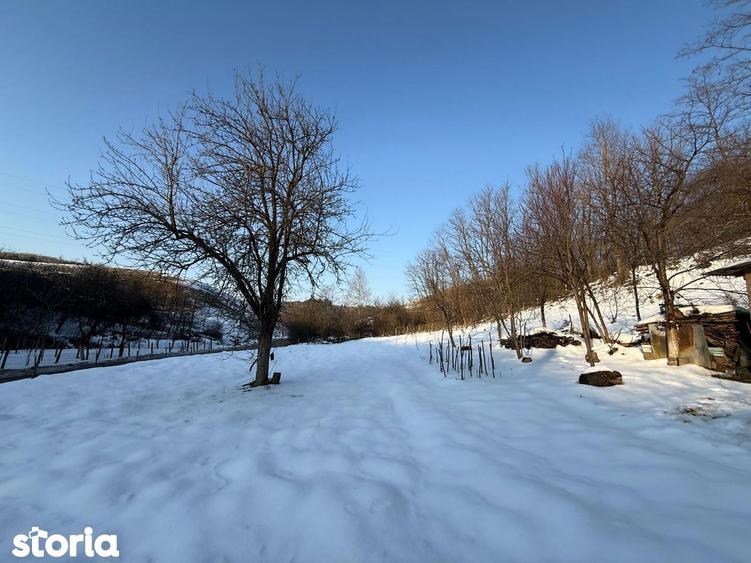 Vand Casa in Tarnava strada principala - 6