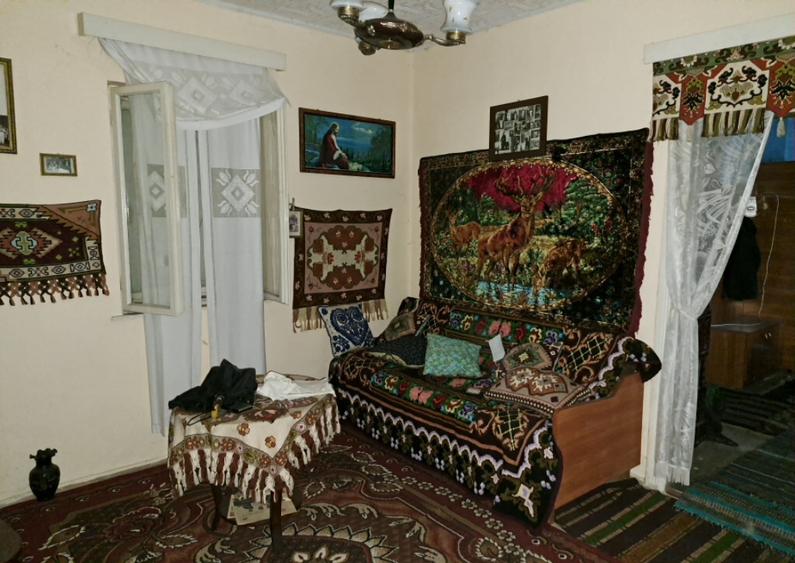 Casa de vanzare in Ibanesti - 9