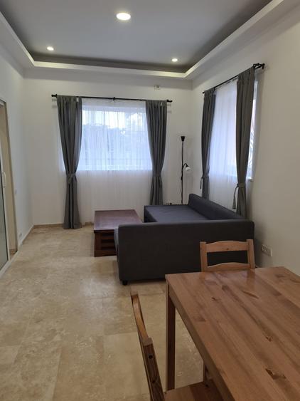 Casa de tip duplex 3 camere Victoriei - Banu Manta - 3