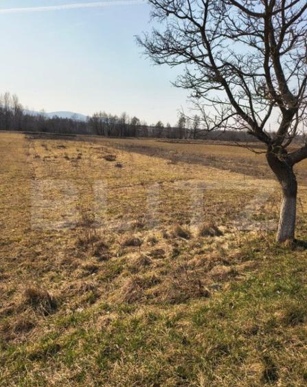 Teren extravilan de vanzare, 40 ARI, zona Racsa - 5