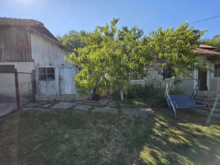 Vand proprietate - Valea Mare (Dambovi?a) - 6