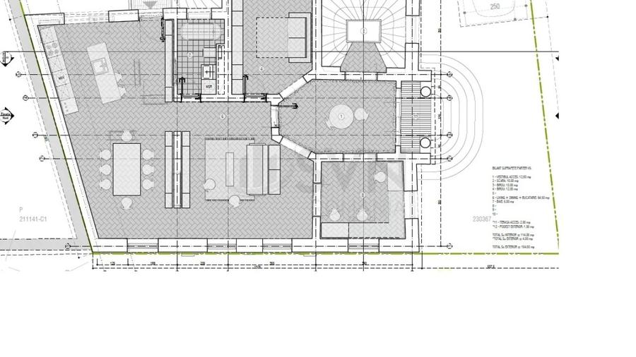 REV2004758 Vila de epoca cu proiect de extindere I Zona Unirii - 8