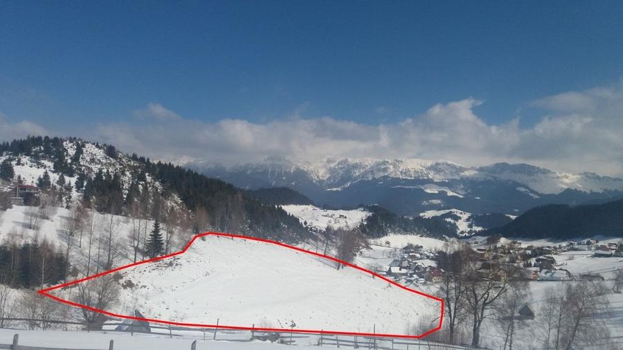 TEREN EXTRAVILAN SAT FUNDATA - 3