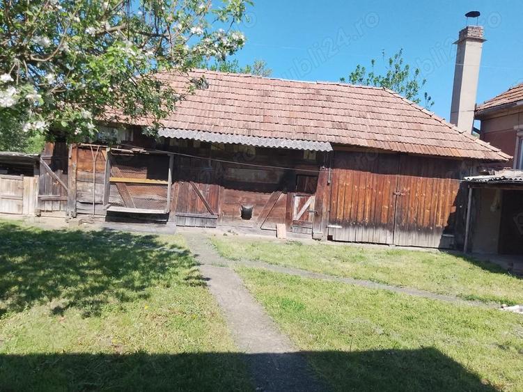Casa si teren de vanzare - 4