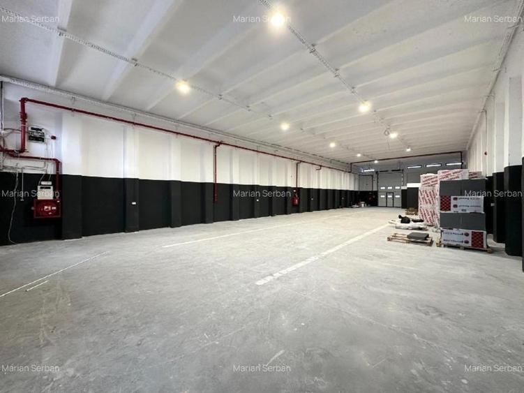 De închiriat hale industriale – Constanța Str. Celulozei (Zona Dobrogea) - 6