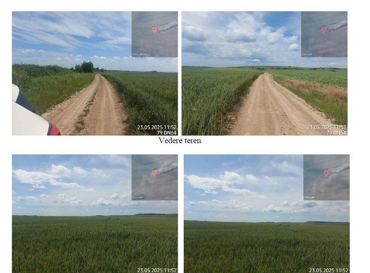 Teren extravilan 5000 mp Loc Plesoiu, Jud Olt - 6