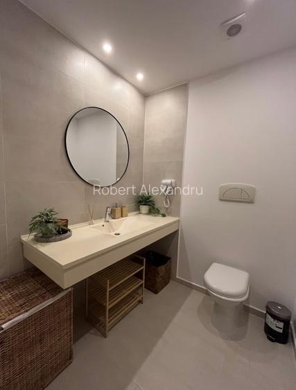 Rin Grand Garsoniera Mobilata si Utilata lux Rin Grand Garsoniera Mobilata si Utilata lux