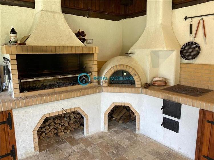 Royal Imobiliare -vanzare vila/ casa de vacanta zona CAMPINA - 21