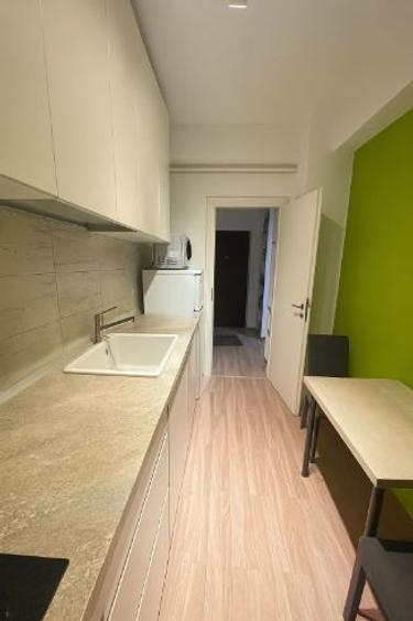 Apartament nou 2 camere, langa parcurile Carol si Tineretului - 4