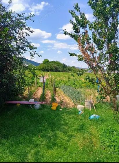 Casa Jibou, jud. Salaj - 9