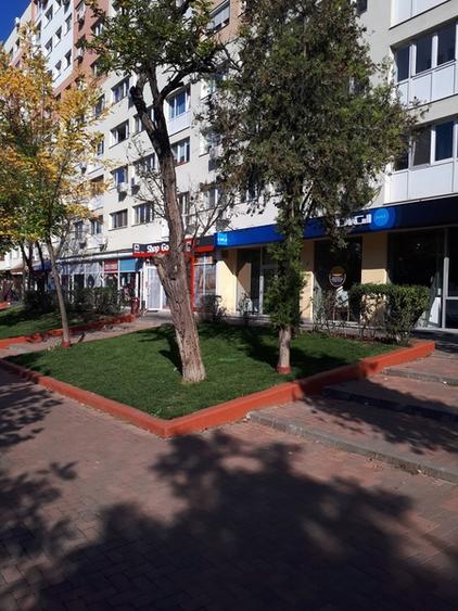 Sector 3, Theodor Pallady - 5