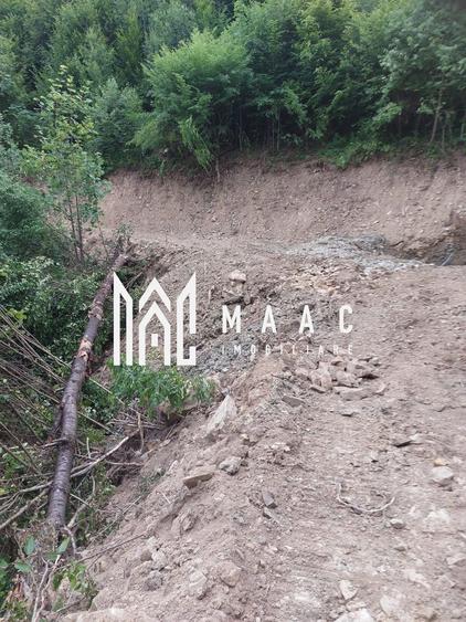 Teren agricol extravilan de 5000 mp, în Bistra