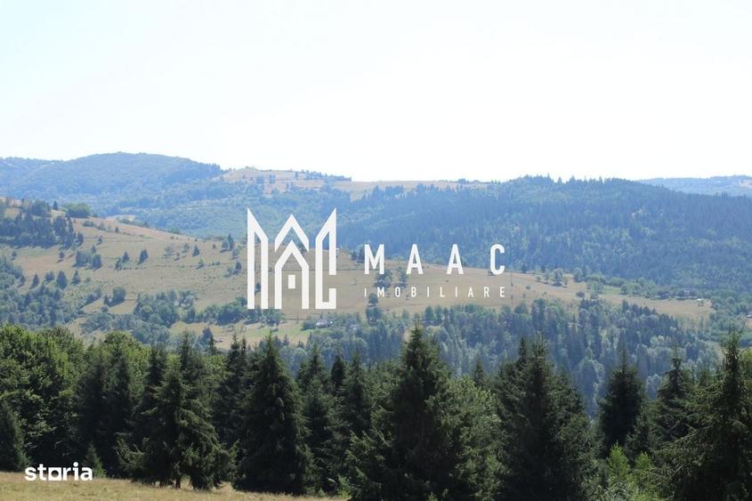 Spațiu comercial, în Cărpiniș