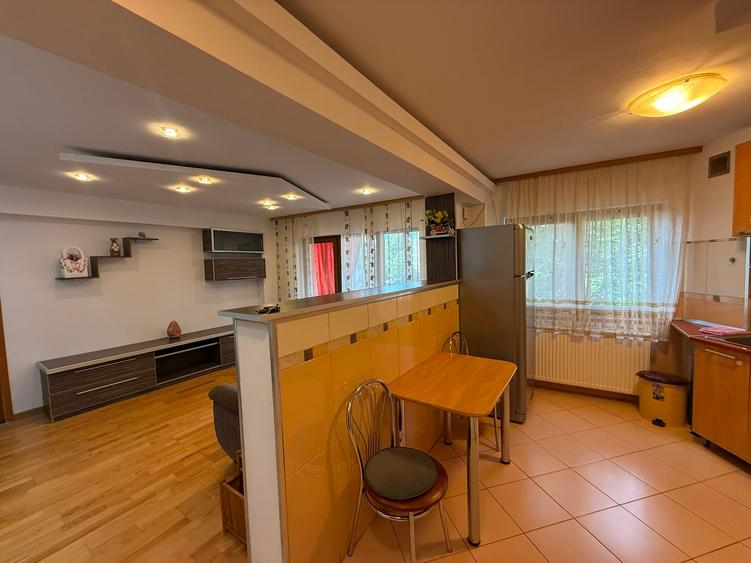 Apartament 2 camere-etaj 1-zona Ion Creanga - 12