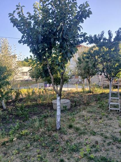 Casă individuală cu 3 camere cu Teren 500 Mp în Aeroport