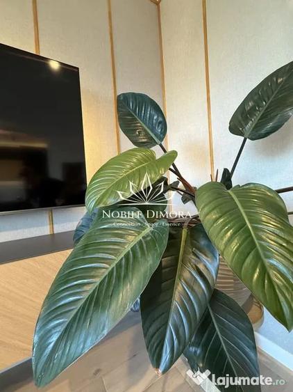 Apartament cu 2 camere semidecomandat în Nord