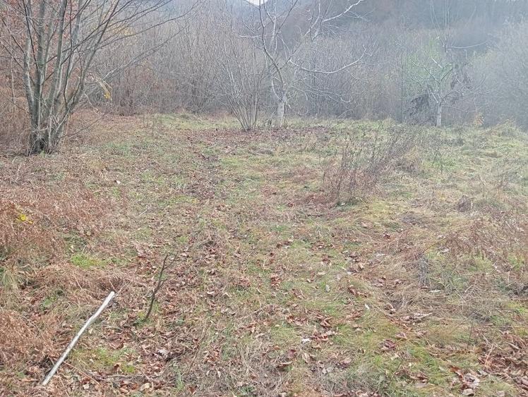 Teren de 9100 mp, în Râu de Mori