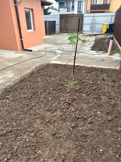 Casă cu 2 camere cu Teren 280 Mp în Colentina