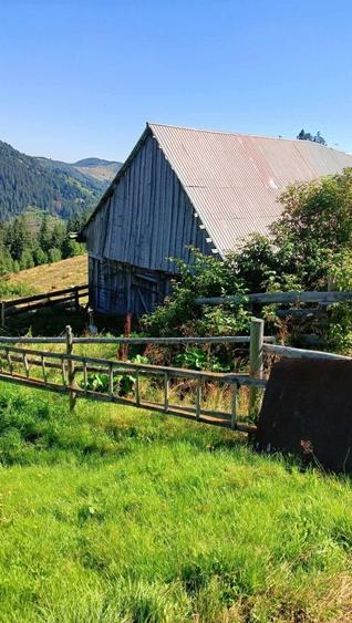 Vand teren intravilan - 8