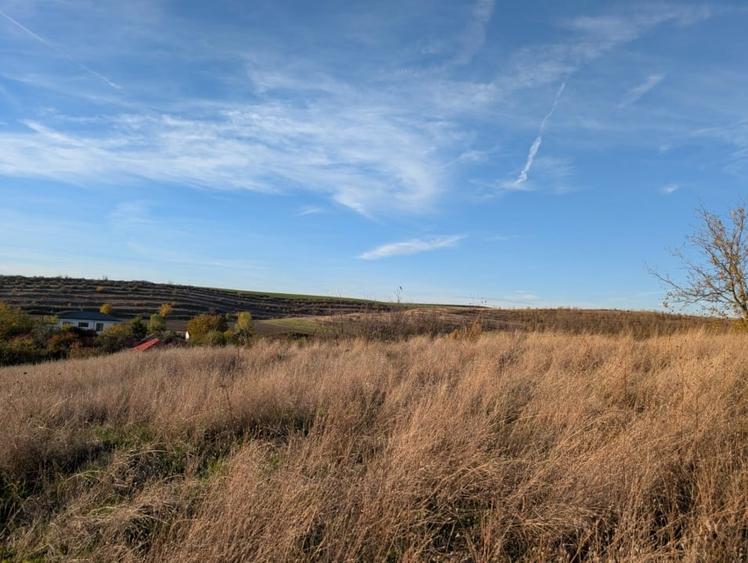 Teren intravilan ,Pielesti, 1835 mp , front 38m. - 2