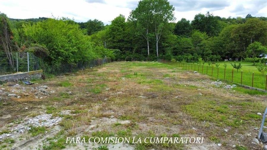 TEREN 2153 MP, BUJORENI - DESCHIDERE LA DN7 - 5