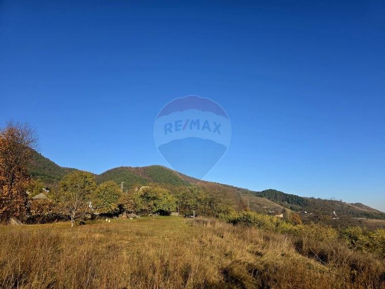 Teren 6,874mp Alexandru cel Bun / Strada plopusor - 9