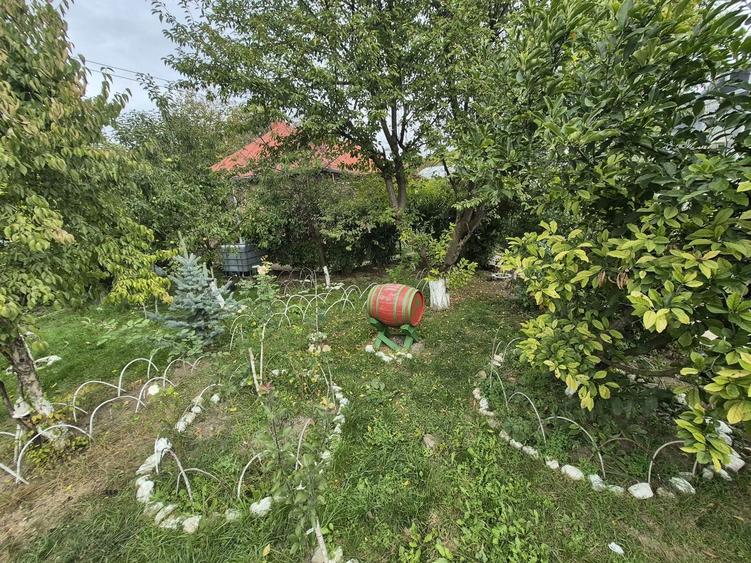 Vila 4 camere + teren 818 mp central Provita de Sus (lângă școală) - 55