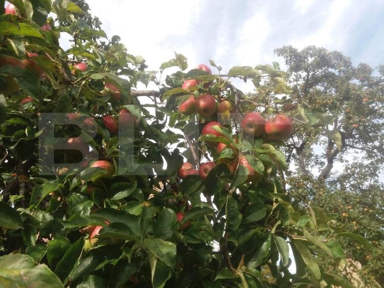 Vanzare Casa in Sacele - Locuinta cu Teren Generos cu Potential -de Renovat - 18