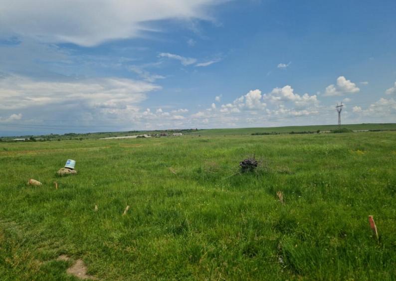 Teren extravilan, str. Ciocarlau - 12