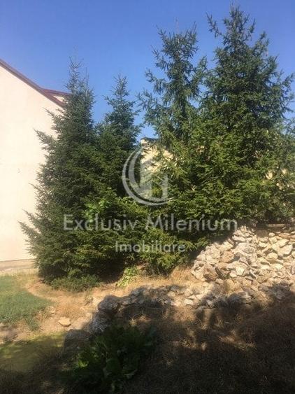 Casa la Padurea Rosu 650 Mp + Teren ideal Activitati Comerciale/Birouri - 13