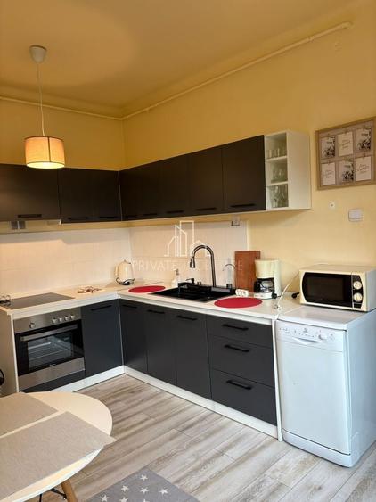 Apartament/Spatiu Birouri 3 Camere, Str Tineretului, Ultracentral - 3