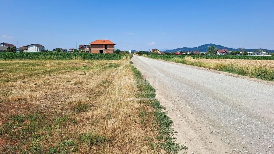 Terenuri Intravilane  Harman - 8