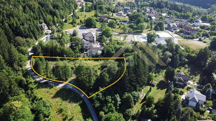 Oportunitate Investitie Teren Dambu Morii | Necesar PUD | Utilitati | 4.800mp - 2