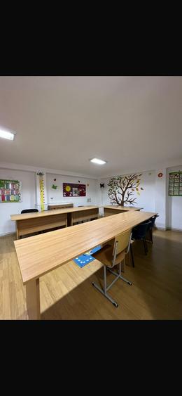 Parc Carol Vila 9 Camere - 8