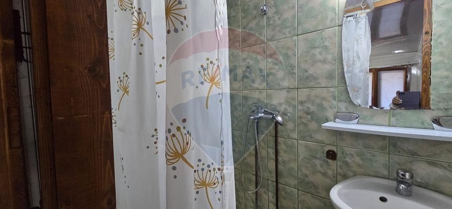 PENSIUNE IN CHISINEU CRIS - 19