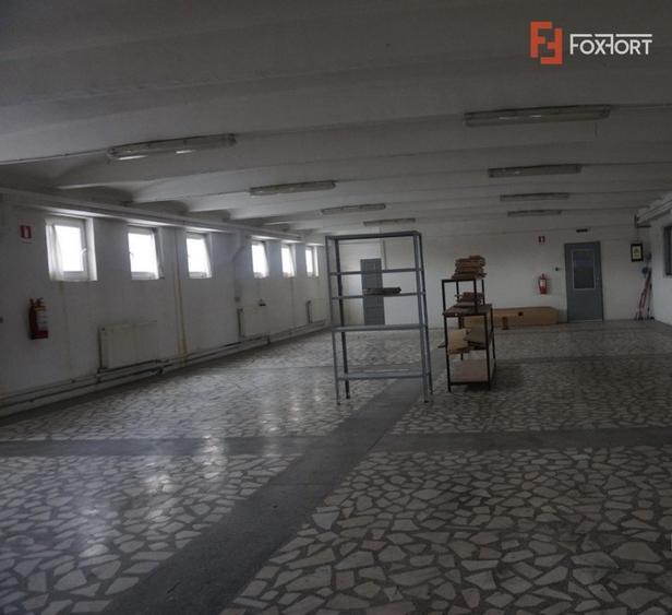 Hala productie in Timisoara COMISION 0% - ID V4732 - 4