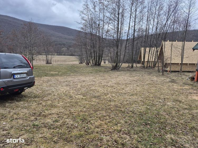 Casa de vacanta in constructie, teren 5600 mp - 4