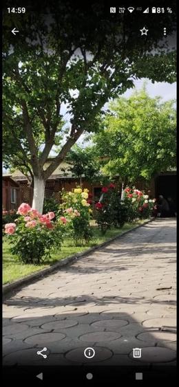 Sanandrei - Central - Duplex 5 Camere - 17