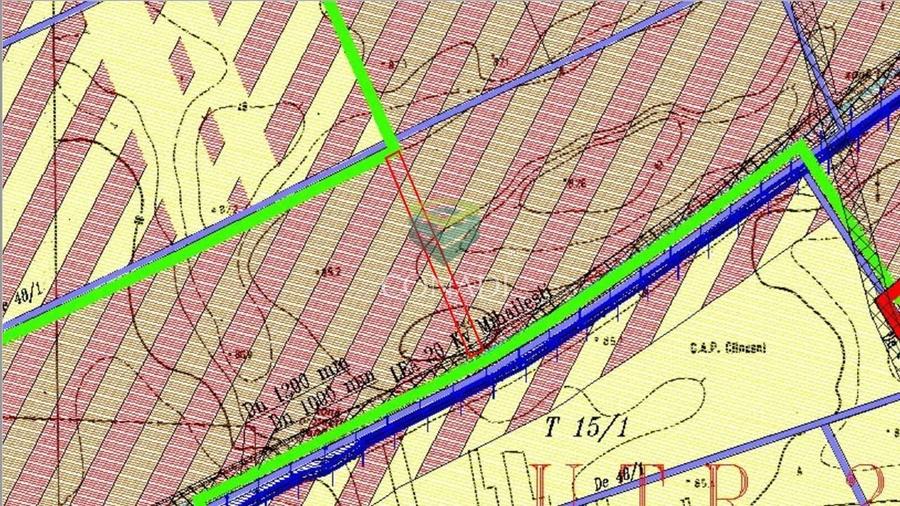 Teren Clinceni 5.792 mp - 8