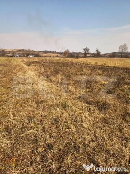 Teren extravilan de vanzare, 40 ARI, zona Racsa - 4