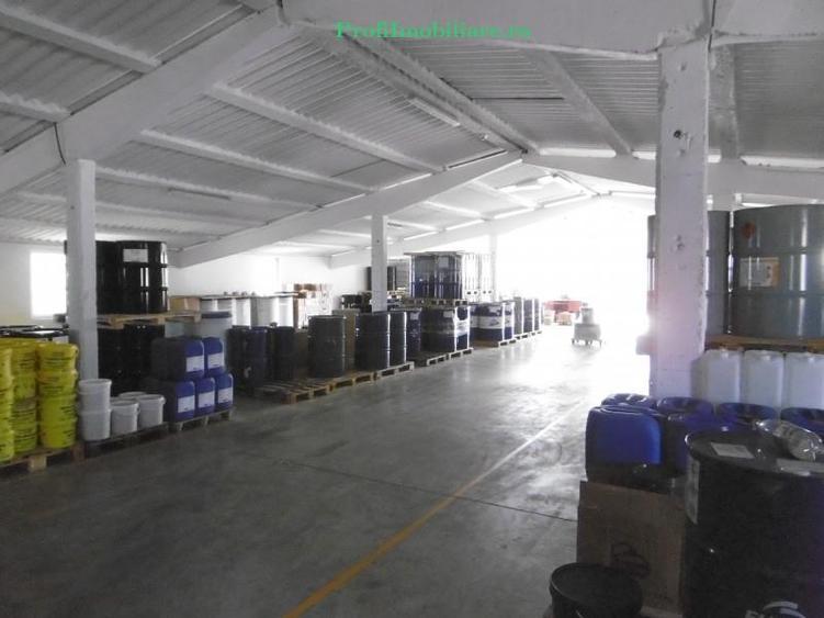 Hale pentru inchiriere aproape de Centura Arad si Autostrada A1 - 8