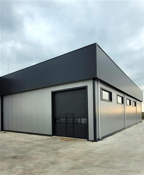 Vanzare depozit/hala/spatiu industrial Domnesti - Centura, Ilfov - 2