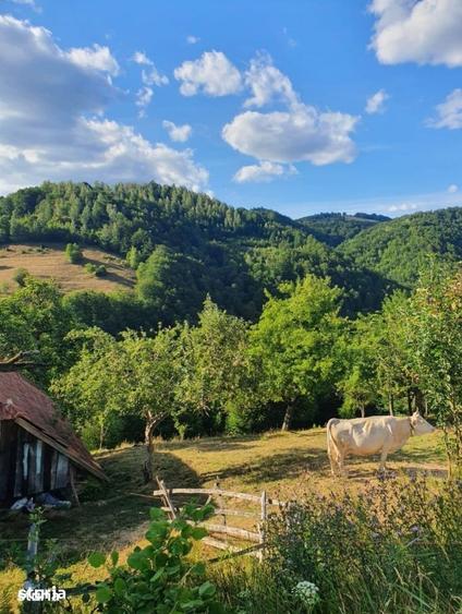 Teren de 10100 mp, în Bulz