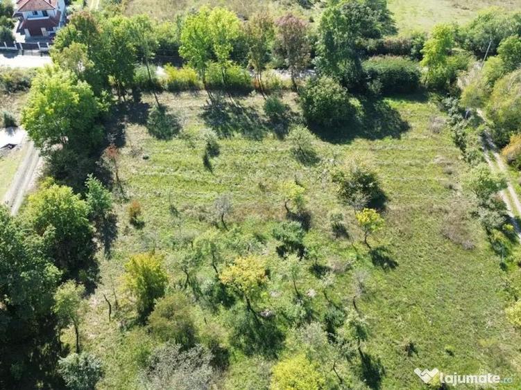 De vanzare Teren Intravilan Viile Satu Mare /Parcelabil/Z... - 7