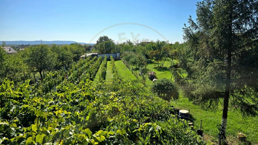 casa 3 camere Viile Satu Mare - 2