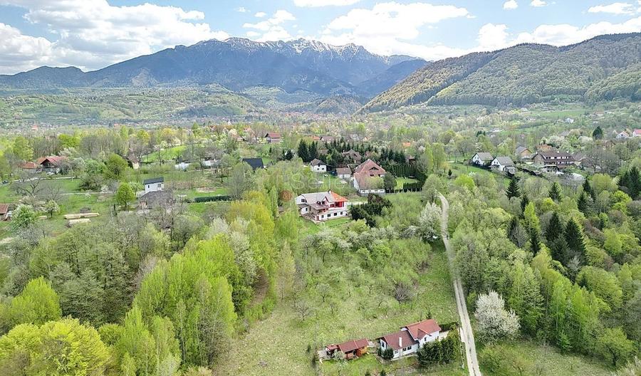 Teren intravilan Bran- Predelut - 12