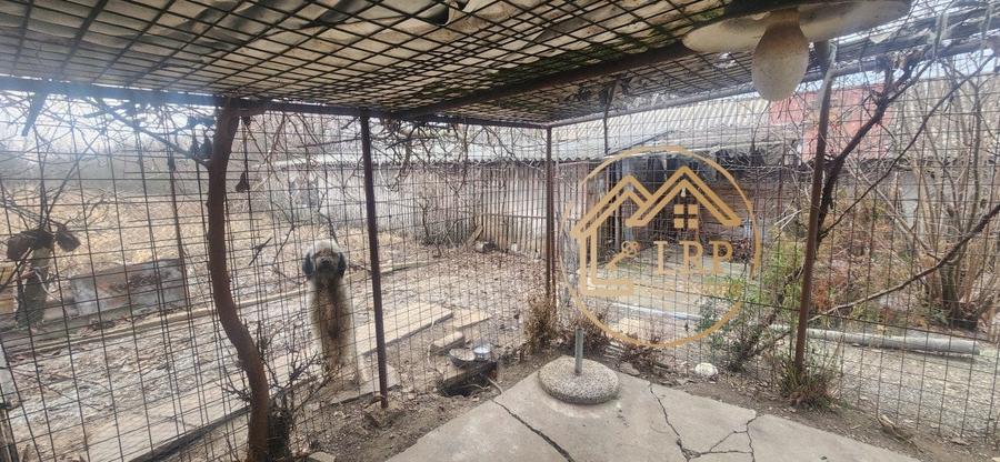 Uzunu Calugareni DN5/E85 -casa, anexe, intravilan 10.488mp, utilitati - 16